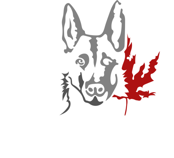 Ottawa Dog Training